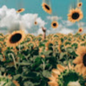 Meet your Posher, Annie